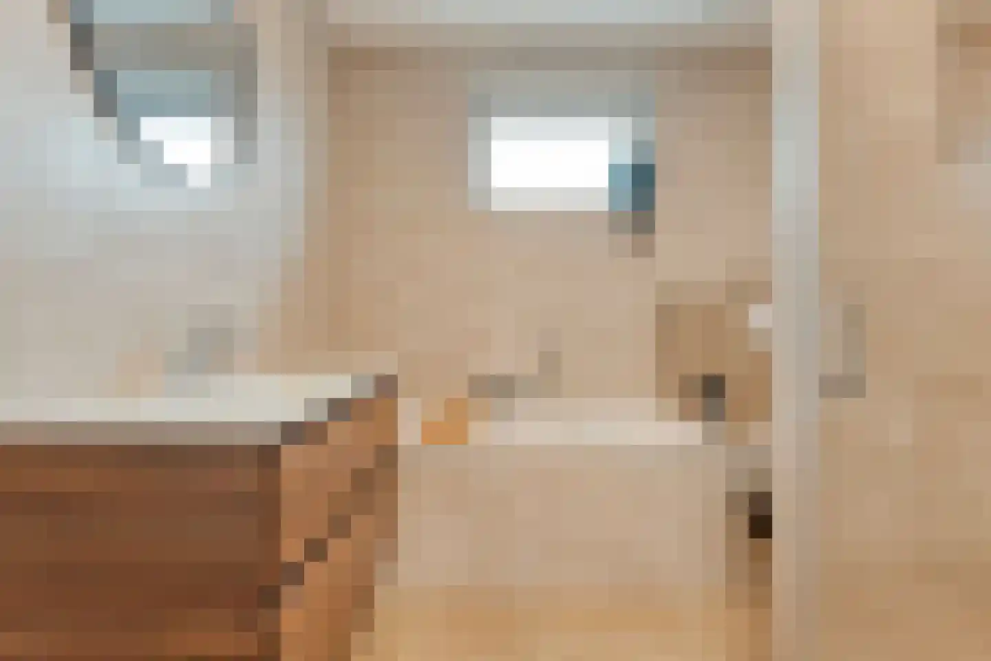 Horstenzoom 26 Emmen thumbnail 22