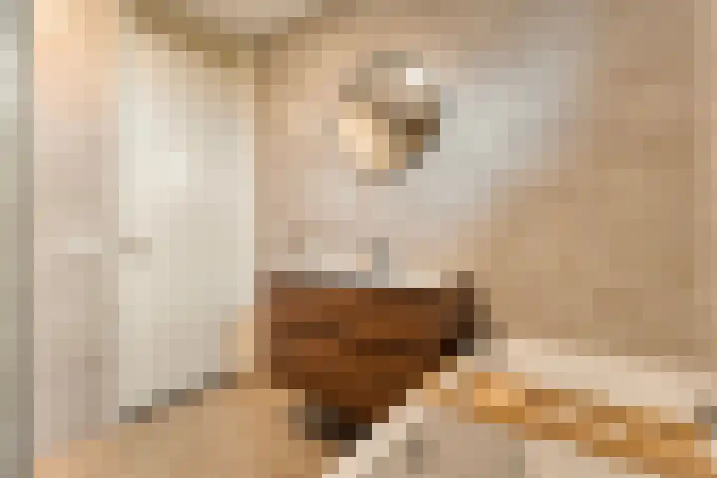 Horstenzoom 26 Emmen thumbnail 23