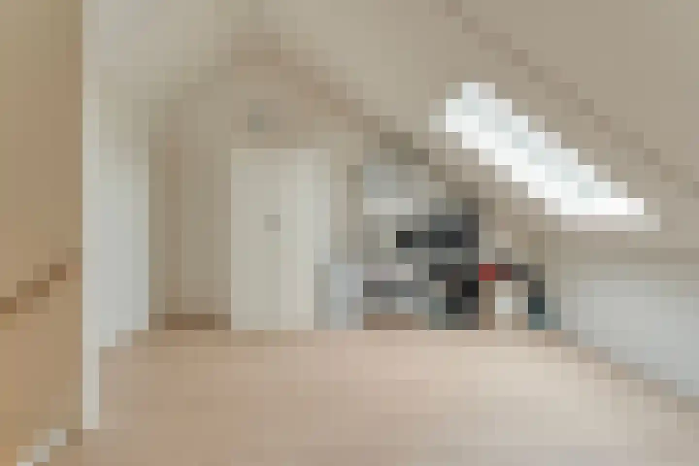 Horstenzoom 26 Emmen thumbnail 33