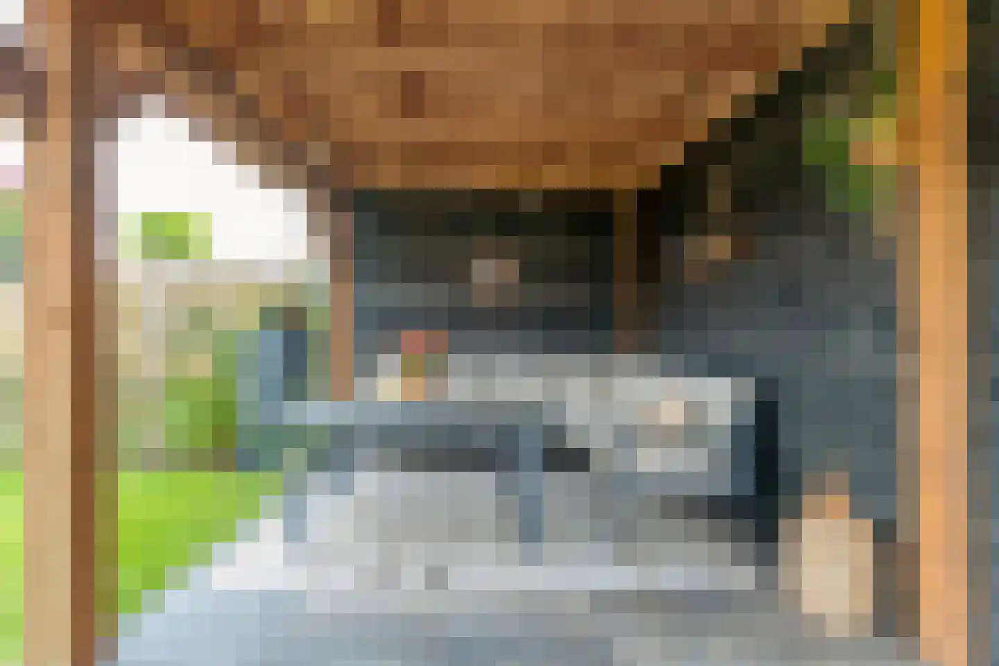 Horstenzoom 26 Emmen thumbnail 38