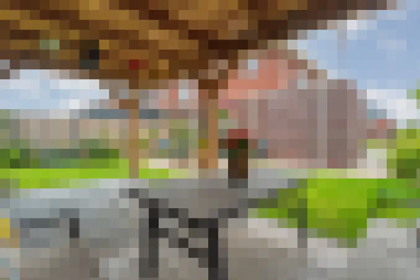 Horstenzoom 26 Emmen thumbnail 39