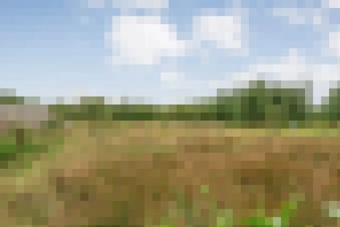 Horstenzoom 26 Emmen thumbnail 43