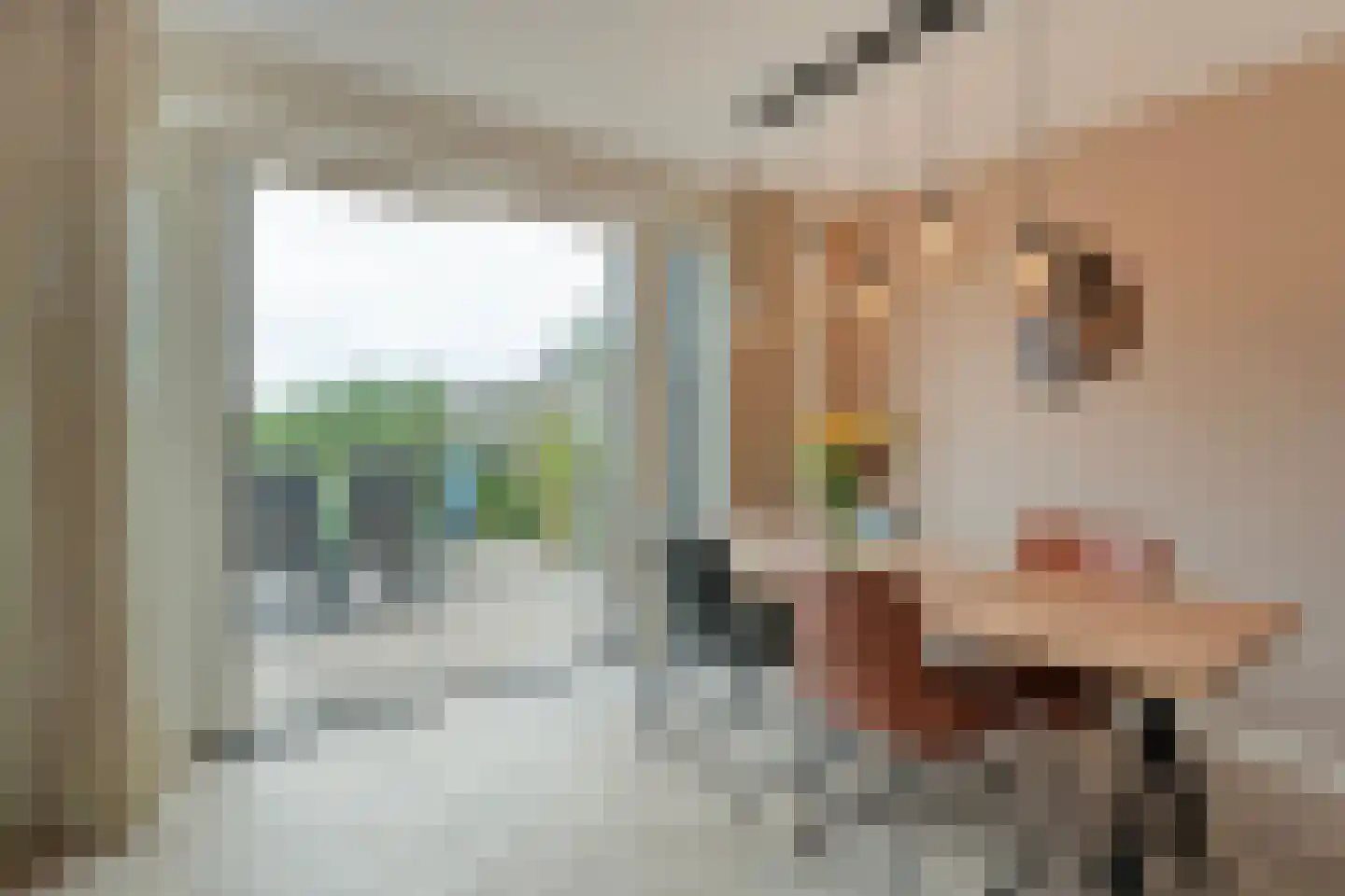Horstenzoom 26 Emmen thumbnail 8