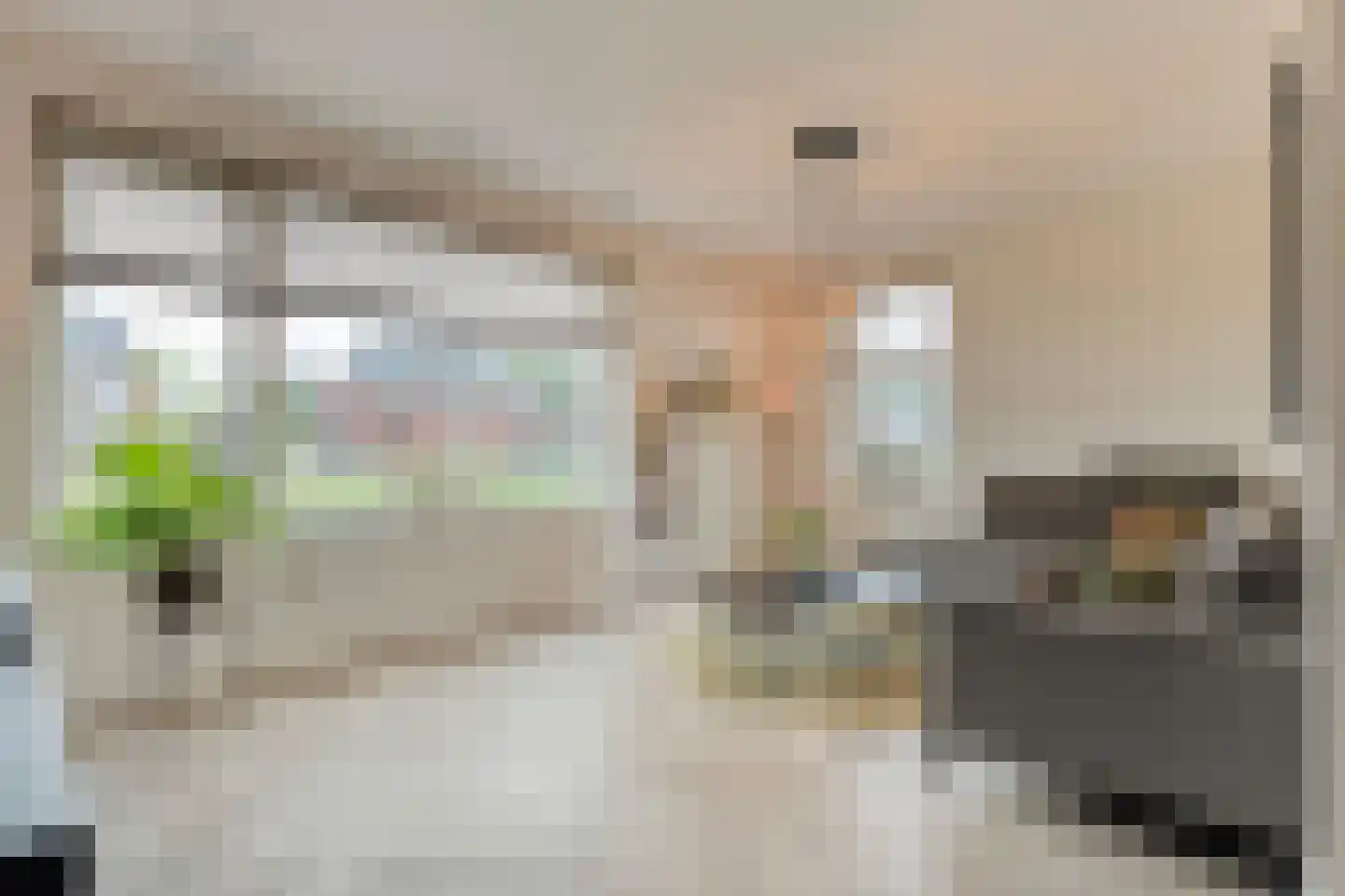 Horstenzoom 26 Emmen thumbnail 9