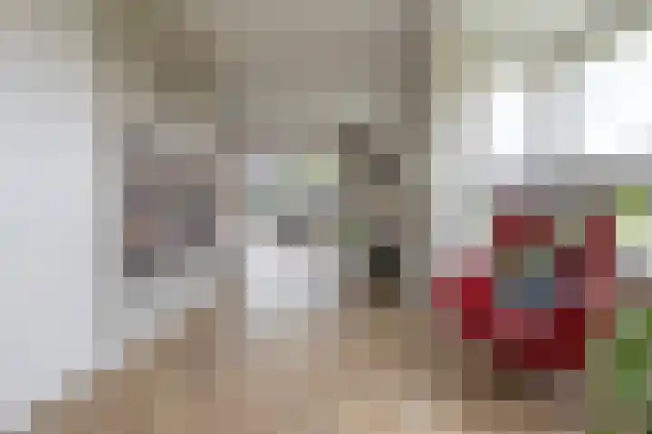 Horstenzoom 34 Emmen thumbnail 10