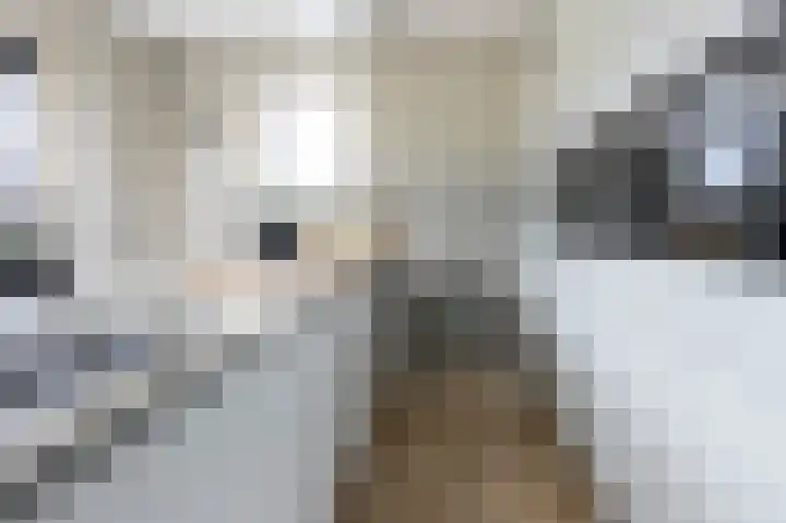 Horstenzoom 34 Emmen thumbnail 12