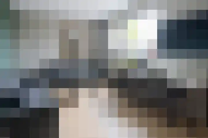 Horstenzoom 34 Emmen thumbnail 15