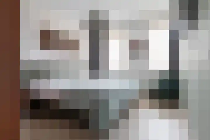 Horstenzoom 34 Emmen thumbnail 19