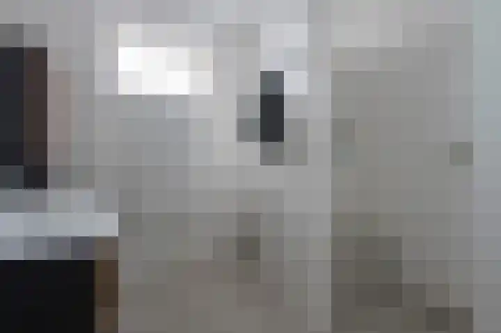Horstenzoom 34 Emmen thumbnail 22