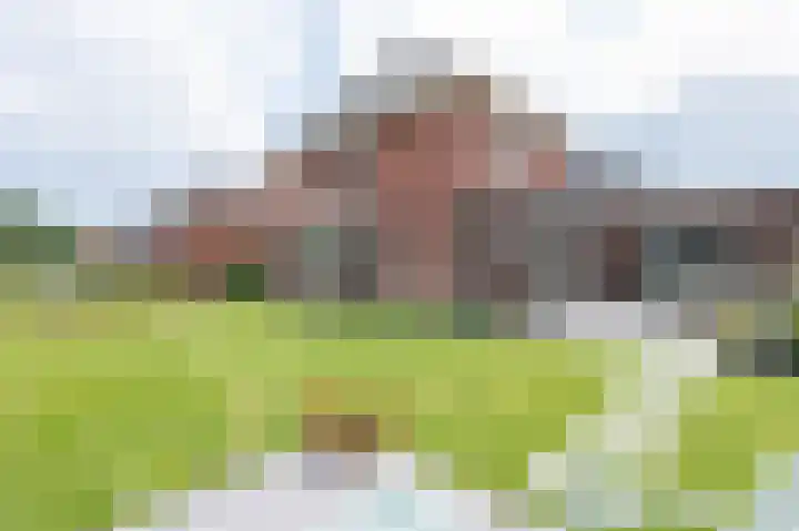 Horstenzoom 34 Emmen thumbnail 31