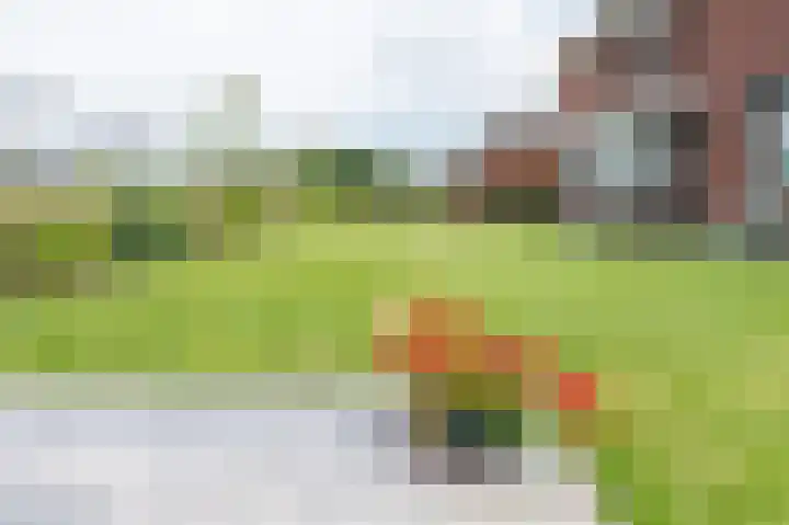 Horstenzoom 34 Emmen thumbnail 32