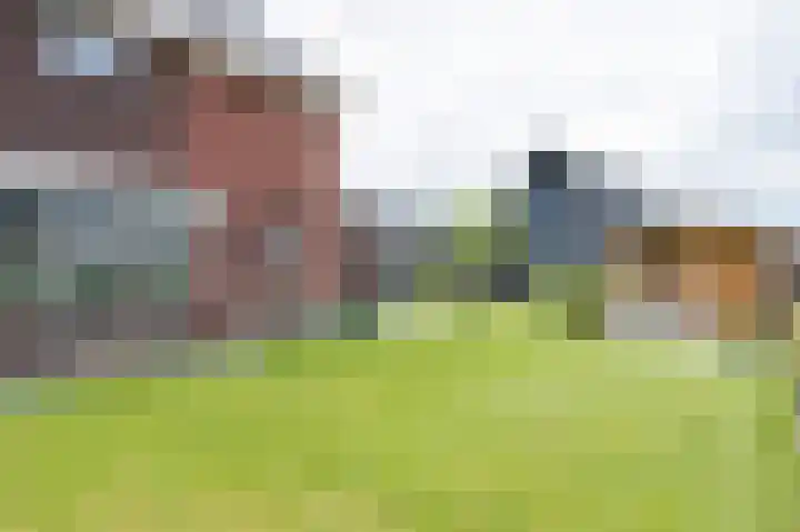 Horstenzoom 34 Emmen thumbnail 33