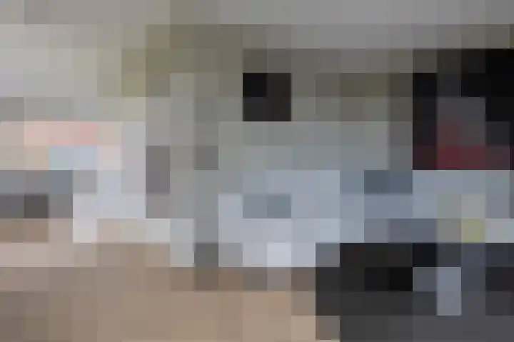 Horstenzoom 34 Emmen thumbnail 5