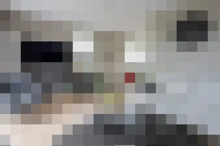Horstenzoom 34 Emmen thumbnail 6