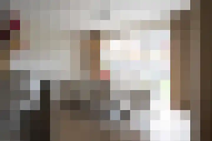 Horstenzoom 37 Emmen thumbnail 14