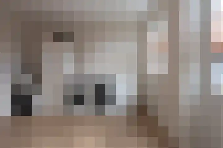 Horstenzoom 37 Emmen thumbnail 15