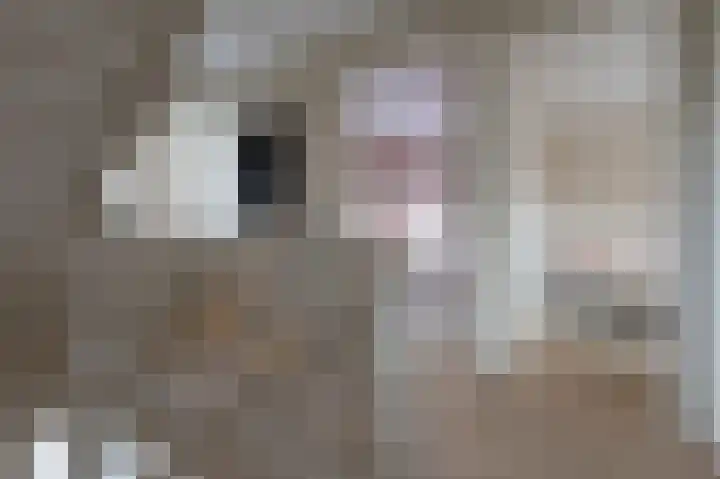Horstenzoom 37 Emmen thumbnail 19