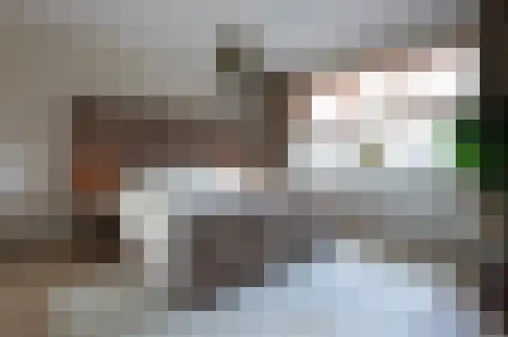 Horstenzoom 37 Emmen thumbnail 22
