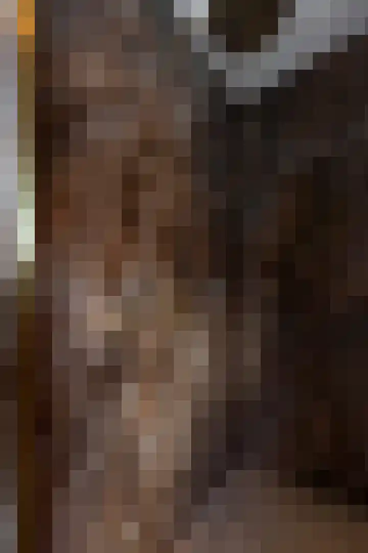 Horstenzoom 37 Emmen thumbnail 27