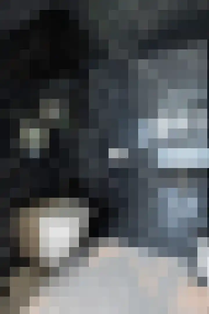 Horstenzoom 37 Emmen thumbnail 28