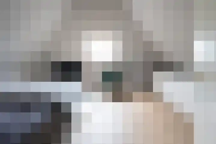 Horstenzoom 37 Emmen thumbnail 30