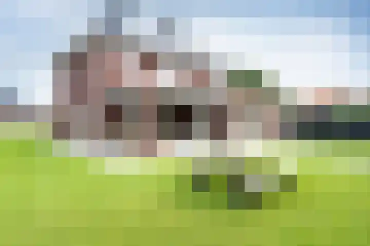 Horstenzoom 37 Emmen thumbnail 33