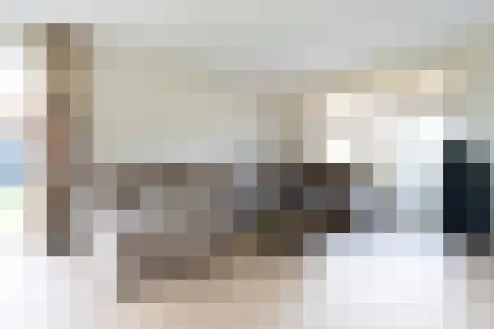 Horstenzoom 37 Emmen thumbnail 4
