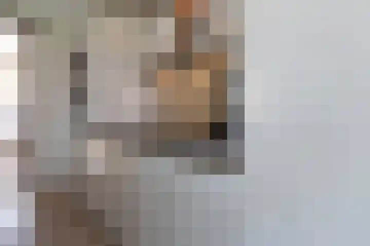 Horstenzoom 37 Emmen thumbnail 9