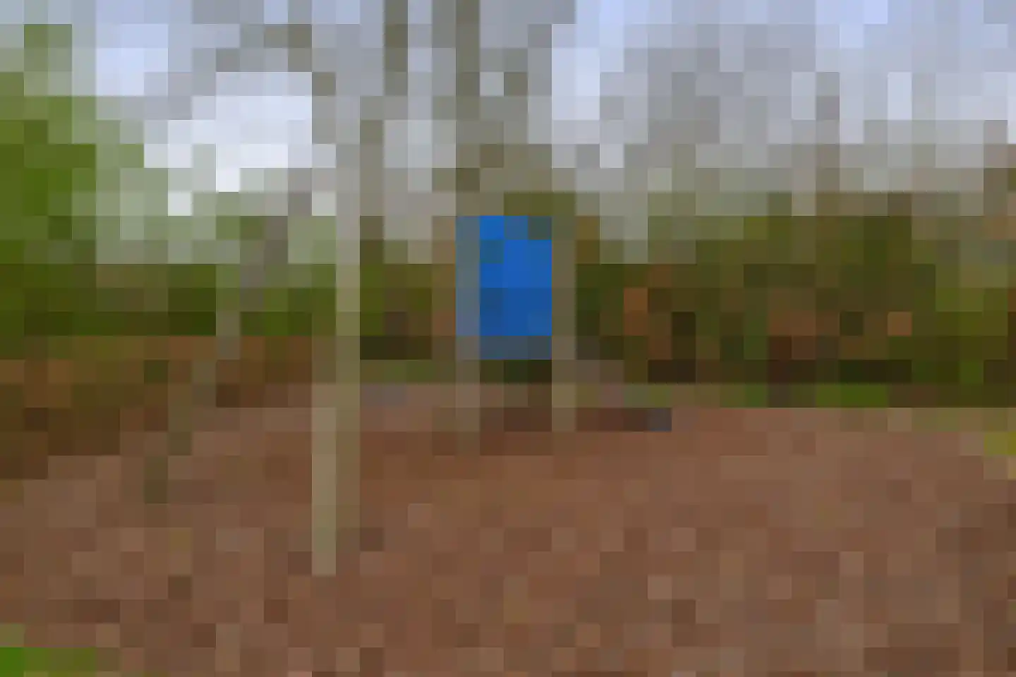 Horster-Zoomweg 11 Ermelo thumbnail 27
