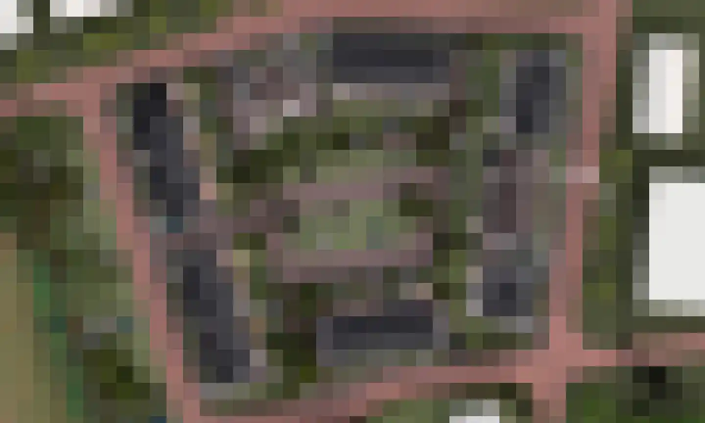 Horsterboschweg 10 Ermelo thumbnail 4