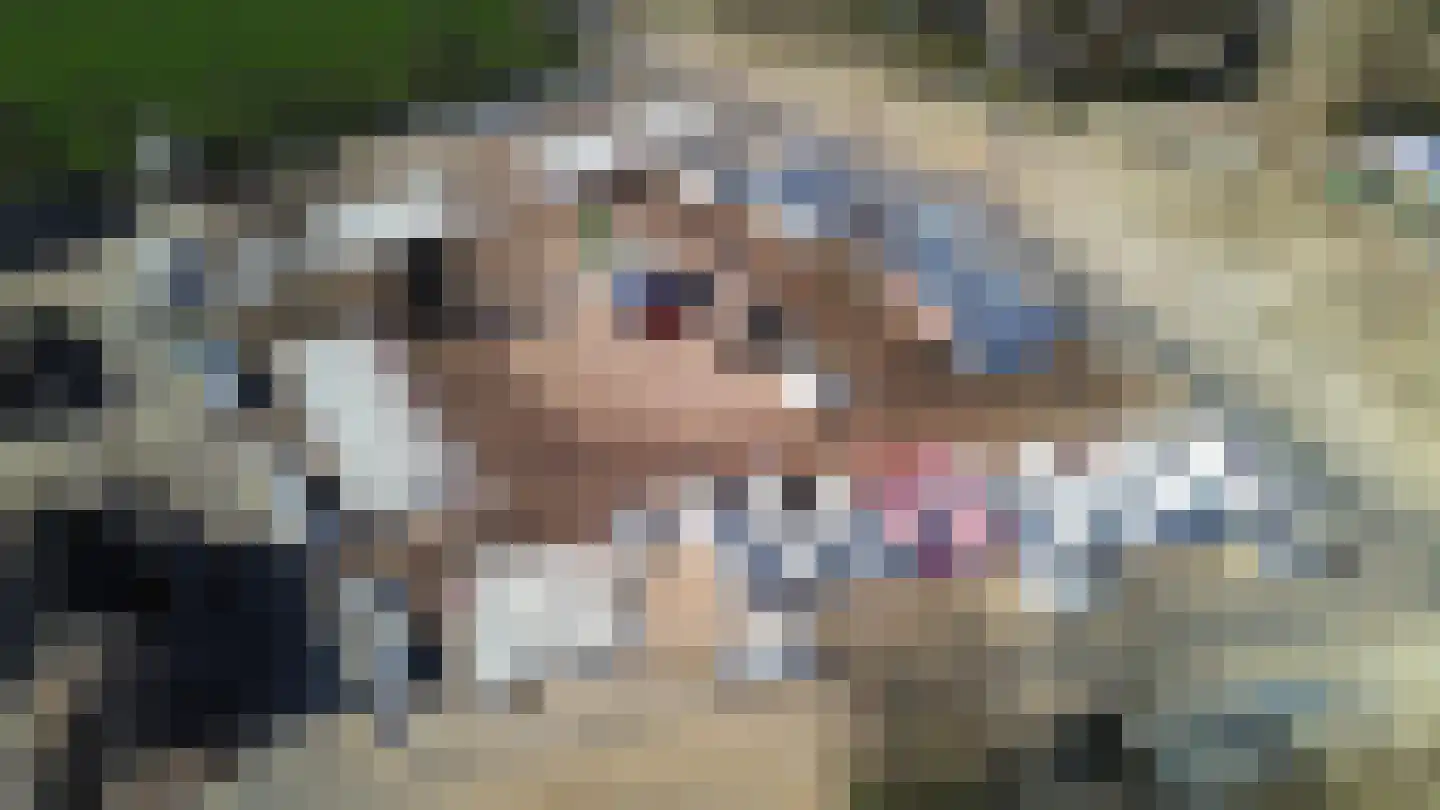 Horsterboschweg 10 Ermelo thumbnail 5