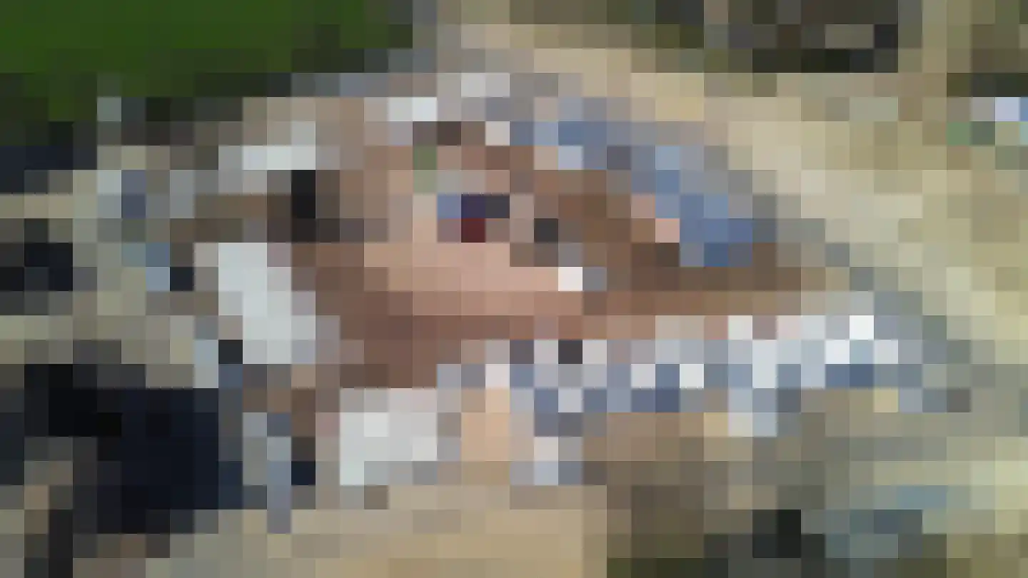 Horsterboschweg 10 Ermelo thumbnail 8