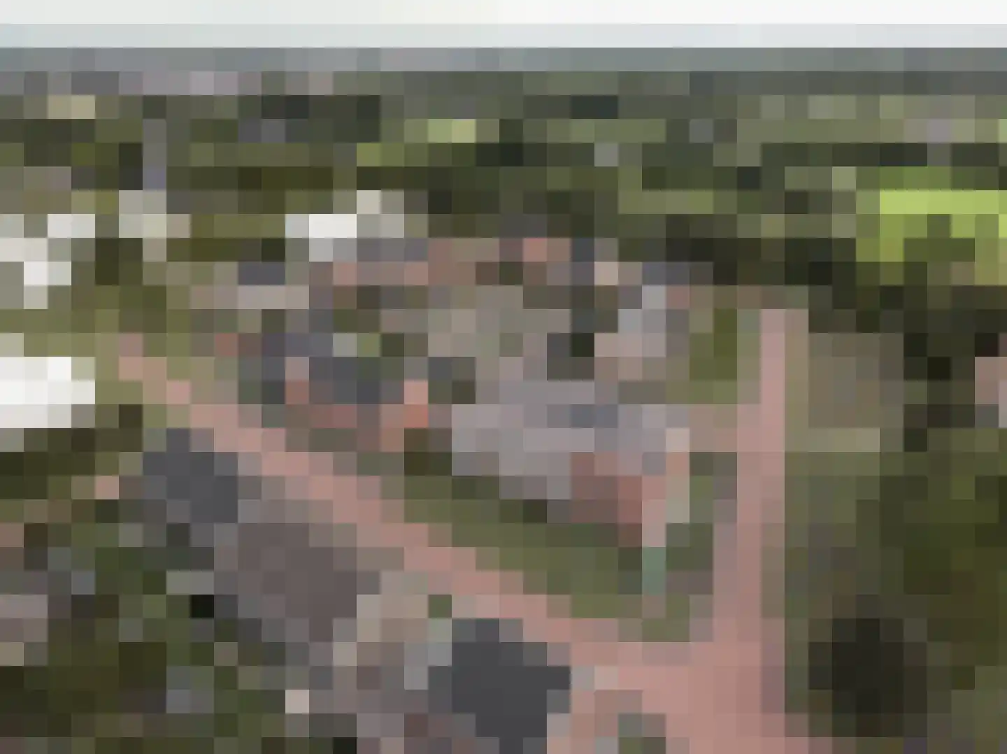 Horsterboschweg 7 Ermelo thumbnail 4