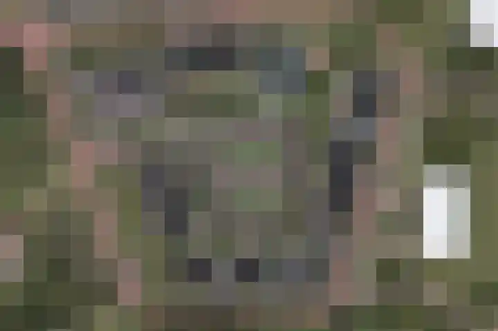 Horsterboschweg 75 Ermelo thumbnail 4