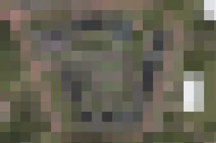 Horsterboschweg 87 Ermelo thumbnail 6