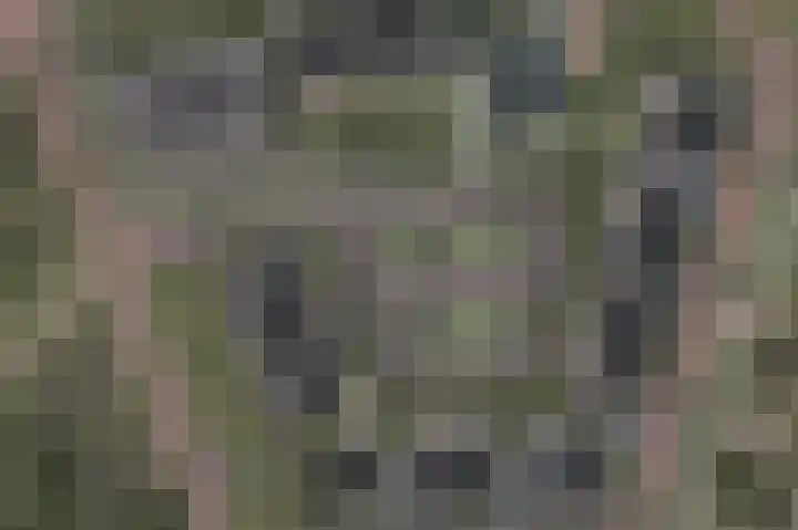 Horsterboschweg 87 Ermelo thumbnail 7