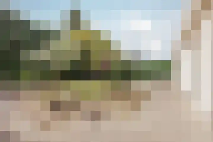 Horsterdijk 35 a Lottum thumbnail 31