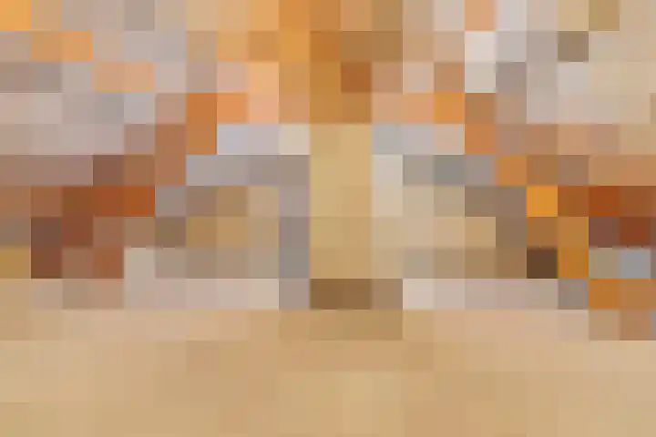 Horsterdijk 74 Lottum thumbnail 23