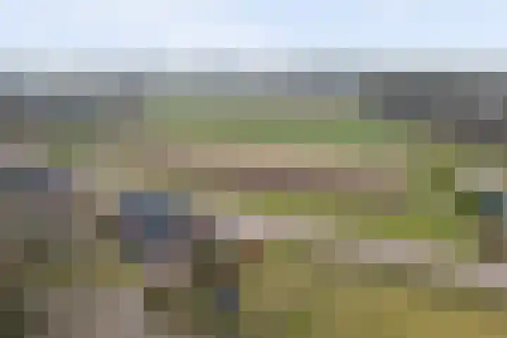 Horsterdijk 74 Lottum thumbnail 30