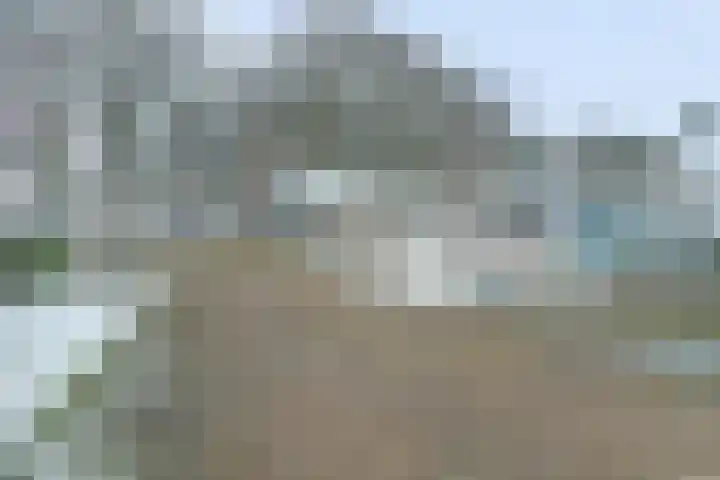 Horsterdijk 74 Lottum thumbnail 4