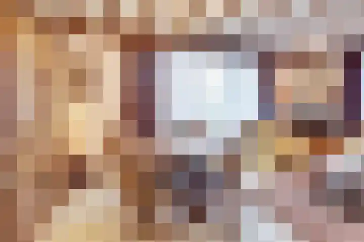 Horsterdijk 74 Lottum thumbnail 9