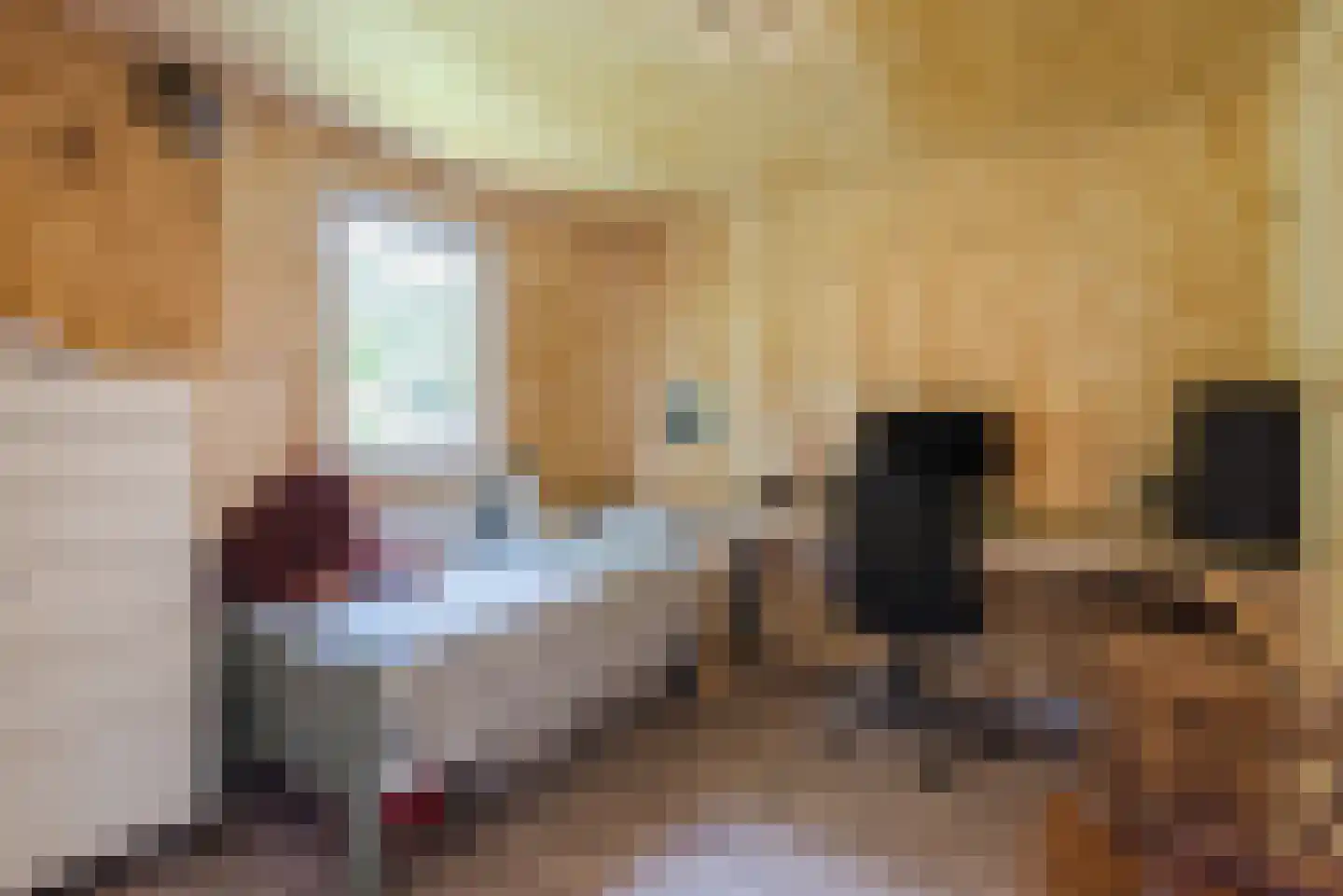 Horsterhof 1 Ermelo thumbnail 16