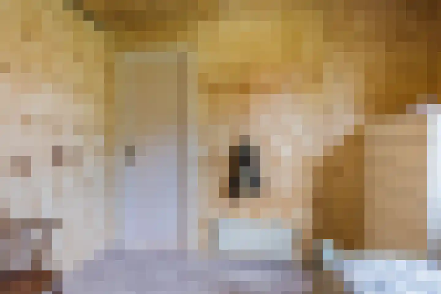 Horsterhof 1 Ermelo thumbnail 17