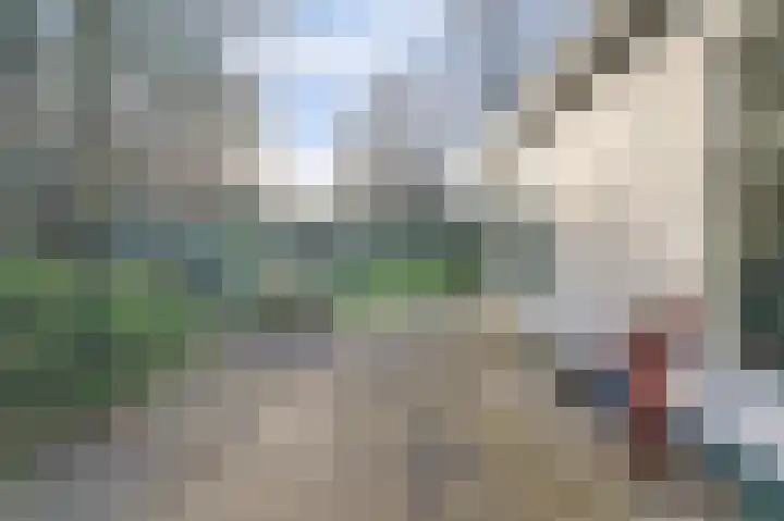 Horsterhof 1 Ermelo thumbnail 21