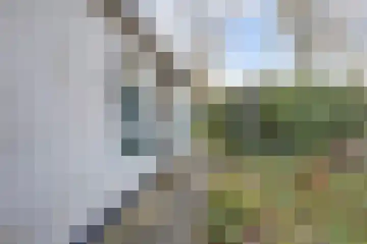 Horsterhof 1 Ermelo thumbnail 22