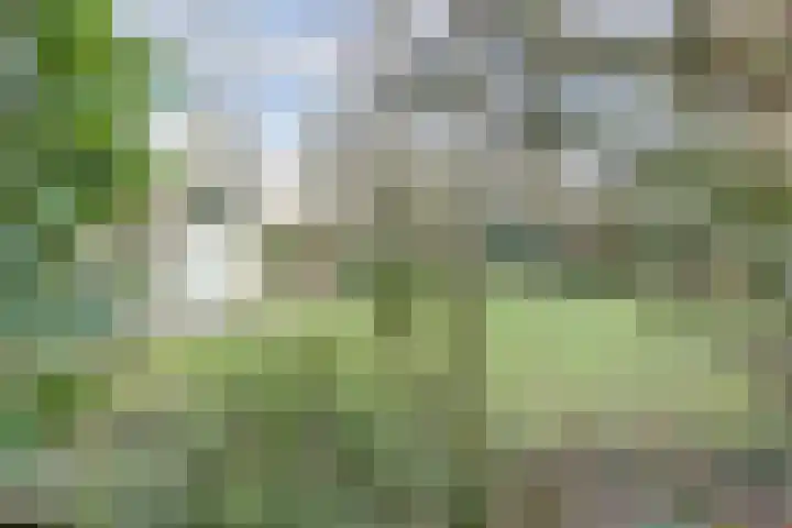 Horsterhof 1 Ermelo thumbnail 23