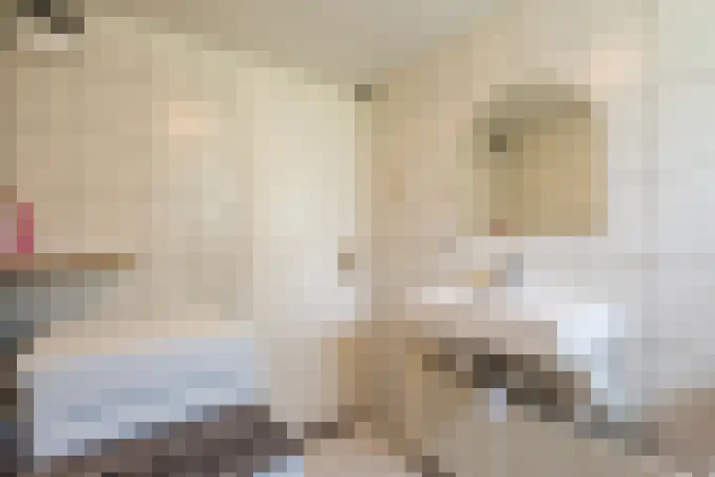Horsterhof 1 Ermelo thumbnail 23