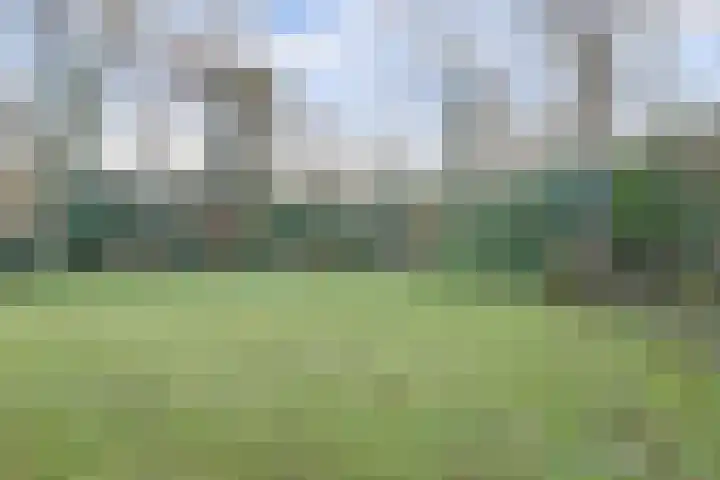 Horsterhof 1 Ermelo thumbnail 24