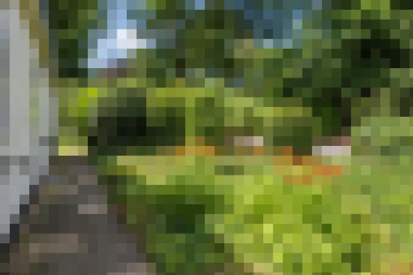 Horsterhof 1 Ermelo thumbnail 28