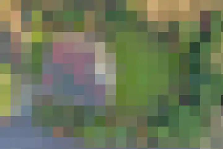 Horsterhof 1 Ermelo thumbnail 28